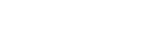 developer Infotech